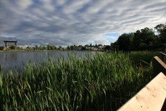 Gillies Lake